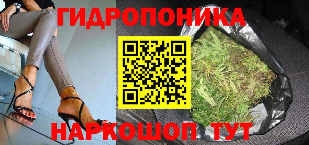 Конопля сатива Калининград